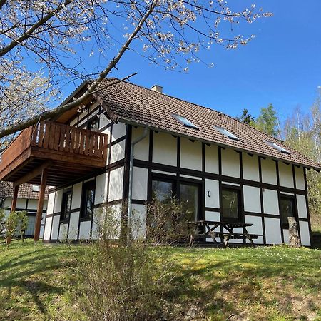 Ferienwohnung Mimo Direkt Am Waldrand 프란케나우 외부 사진