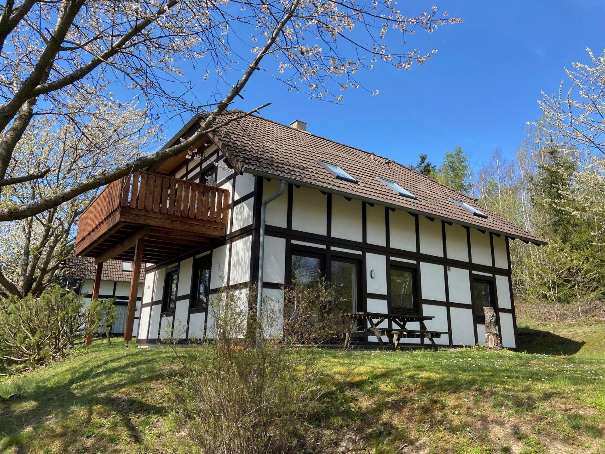 Ferienwohnung Mimo Direkt Am Waldrand 프란케나우 외부 사진