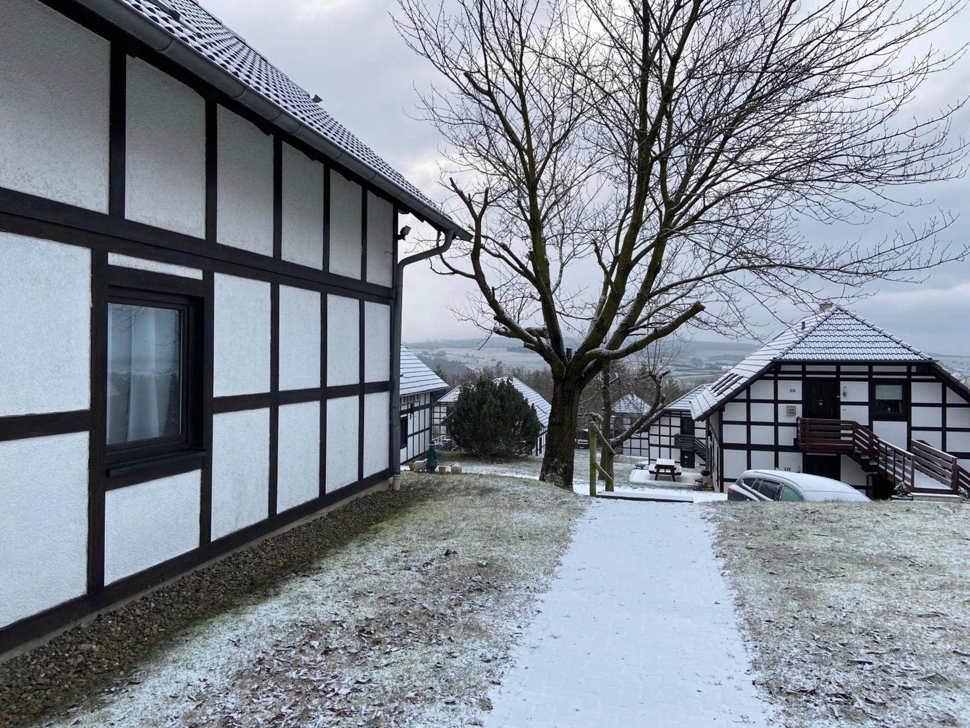 Ferienwohnung Mimo Direkt Am Waldrand 프란케나우 외부 사진